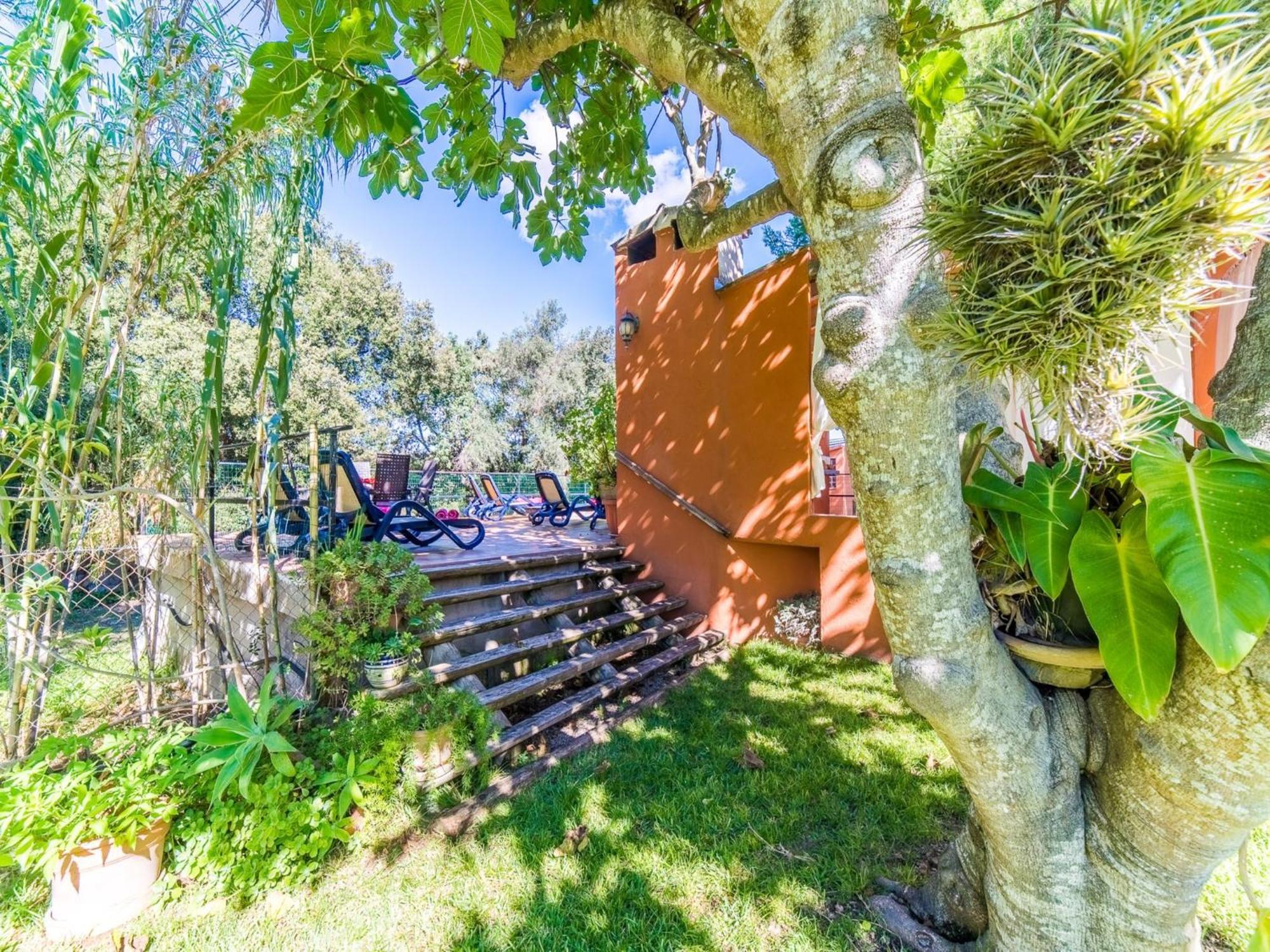 Finca In Mallorca With Private Pool Thị trấn Búger Ngoại thất bức ảnh